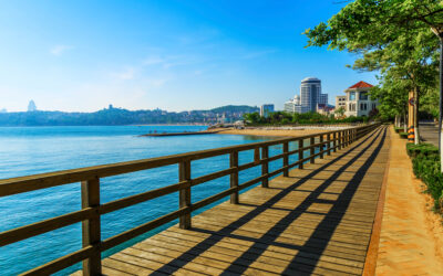 Como Saber se Você Precisa de um Psicólogo?